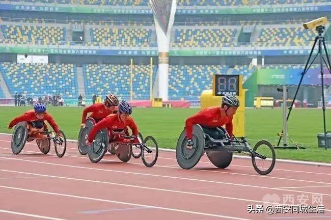 2025新澳门最精准免费大全与警惕虚假宣传-全面释义、解释与落实